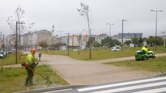 Efectivos del servicio municipal de jardines realizando por primera vez el mantenimiento del bulevar, la pasada semana.