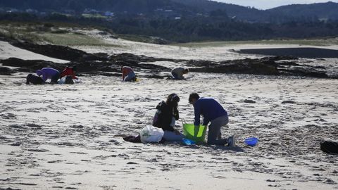 Barbanza se echa a las playas para limpiar el vertido de pellets de plstico.Voluntarios en la playa de As Furnas.