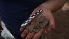 Parte del conjunto recuperado ser� analizado en laboratorio