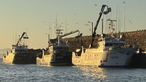 Os tres representan unha estampa precisa do significado da arte do cerco actual