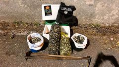 En la imagen, el marisco y utensilios decomisados. 