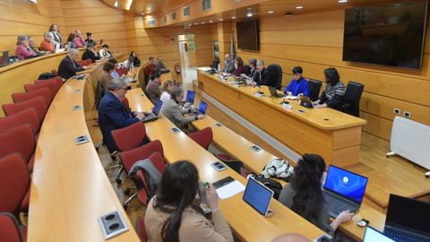 Imagen de la reuni&oacute;n del Consello de Goberno de la Universidade de A Coru&ntilde;a.
