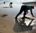 Mariscadoras de O Vicedo intentando extraer coquina.