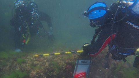 Arquelogos documentando caones hallados en el mar en Castropol