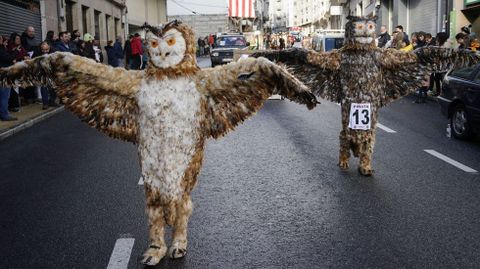 Desfile de entroido en Celanova