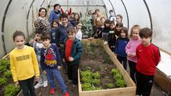 �Mira las fotos del huerto del colegio Salustiano Rey dentro de su proyecto para Voz Natura!