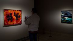 Un visitante fotograf�a una de la exuberantes flores pintadas por Georgia O'Keeffe
