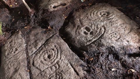 Parte de los grabados del petroglifo de Somontemo II.