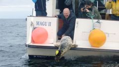 Luis Laria en una suelta hace a�os de focas en alta mar que hab�an sido rescatadas y recuperadas por Cepesma