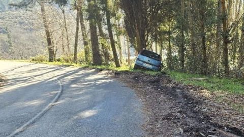 El coche se sali de la calzada tras el atropello.