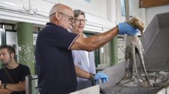 El patr�n mayor de Bueu, Jos� Manuel Rosas, ense�a un pulpo capturado este martes a la conselleira do Mar, Rosa Quintana