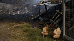 Los incendios provocaron prdidas en instalaciones agrcola-ganaderas