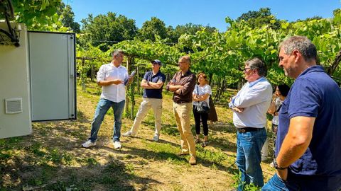 La jornada t&eacute;cnica tuvo lugar en bodegas As Laxas, donde los asistentes conocieron los avances del proyecto
