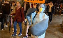 Olga caracterizada como la gaviota Vane, protestando por el exceso lum�nico de Vigo en una imagen de archivo.