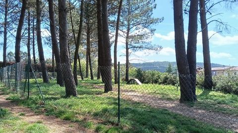 El parque canino sustituir� al abierto hace a�os en la urbanizaci�n de Porto Avieira