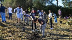 Alumnos del colegio Divino Salvador, durante la actividad de Voz Natura, plantando �rboles en el Monte Alba.