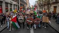 Imagen de la manifestaci�n en apoyo a Palestina que tuvo lugar el domingo en Madrid.