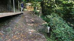 Paseamos a la sombra del� parque de O Castri�o