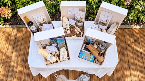 Unas emprendedoras acaban de lanzar unas cajas que incluyen distintos productos gallegos para que los establecimientos hoteleros agasajen a los visitantes peludos.