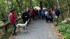 Ruta por Parada de Sil