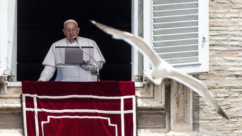 Una gaviota vuela delante del papa durante el rezo del ngelus de este domingo