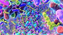 Representaci�n de la microbiota intestinal, el conjunto de microorganismos que activan el sistema inmune del organismo