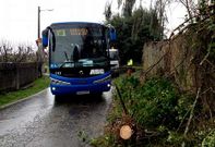 El poste, y �rboles, bloquearon el bus escolar en Mercur�n.