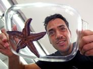 Adem�s de ser embajador del Albari�o de Cambados, Daporta es ahora defensor del tinto. 