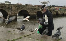 Las gaviotas y las palomas de la r�a de O Burgo comen de la mano de Gonzalo L�pez. 