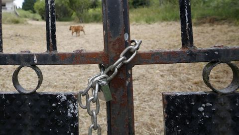 �El caso de Vent�n y el de A Ameixida, la cara y la cruz en Ribeira�. La reciente okupaci�n de una vivienda familiar y su finca en Palmeira -la que puede observarse en esta imagen- contrasta en gran medida con lo sucedido en A Ameixida, donde las personas que accedieron al inmueble lo abandonaron tras dialogar con el propietario y con las fuerzas del orden.