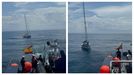Nuevo ataque de orcas a un velero en Ortegal