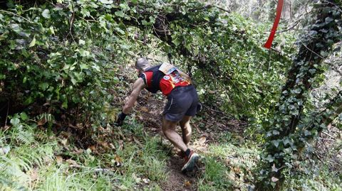 Un corredor se agacha para pasar por debajo de un �rbol que impide correr erguido, un obst�culo habitual en muchos tramos de los recorridos de todas las carreras de este Quiroga Trail Challenge