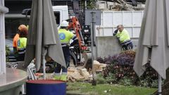 Poda del chopo de la plaza de Ourense de A Corua.
