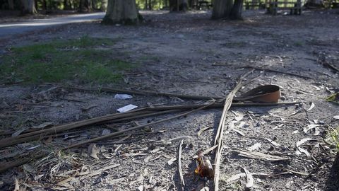 Chequeo en el entorno de la Capilla de San Ram�n de Bealo