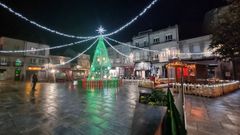 El �rbol en la plaza Mayor de Xinzo