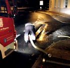 Imagen de la intervenci�n del GES en una de las viviendas