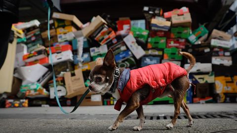 Basura en A Coru�a, en la zona de As Conchi�as