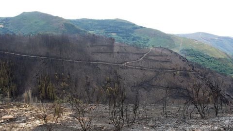 Incendio forestal en la zona de Ribeira, en Navia de Suarna, en el a�o 2015