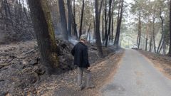 Imagen tomada en la ma�ana de ayer del desastre medioambiental de Cai�n. Medio Rural�dio por extinguido el fuego a �ltima hora de la tarde.