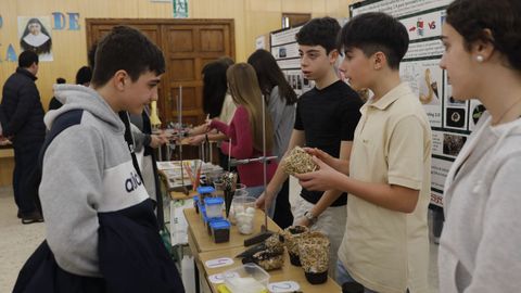 Alumnos visitando la exposicin de los trabajos de sus compaeros