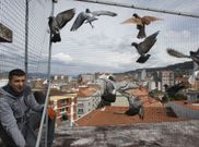 Azotea del Hotel Libertad, donde se instal� la jaula. 