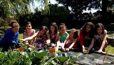Os alumnos cultivaron unha horta con secci�ns de vexetais e horatlizas e de plantas arom�ticas. 