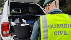 Imagen del pulpo congelado decomisado por parte de la Guardia Civil