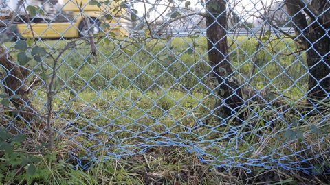 La verja no llega al suelo. La rejilla metlica no est sujeta en el suelo por lo que los animales pueden meter el hocico y levantarla, abriendo un paso desde la zona arbolada hasta la calzada de la autova. 