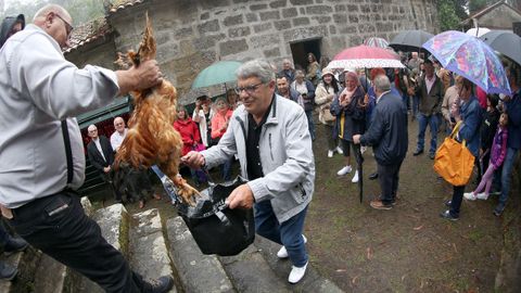 ROMERIA SAN BENITO DE SERANS 2024