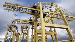 Gr�as para contenedores en Caneli�as