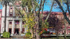 Los bomberos se desplazaron al instituto ferrolano