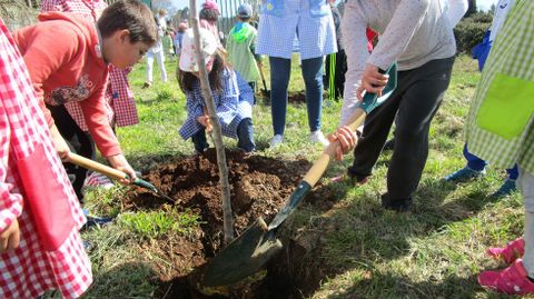 CEIP Mestre Rodrguez XIXIREI