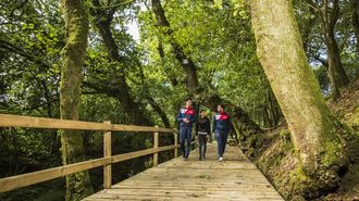 A carballeira de Berdeogas ser� un dos puntos do trazado