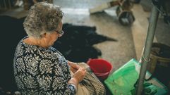 Las mejores im�genes de ExpoR�a en Camari�as